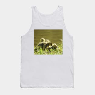 Baby goslings, Canadian Geese, wildlife gifts Tank Top